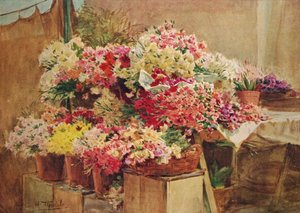 Blumenstand auf dem Markt von Mentone, ca. 1910-1912