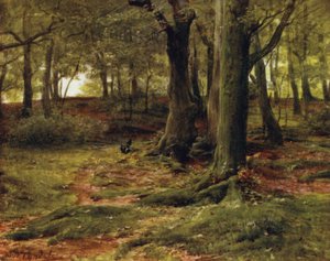 Der New Forest: Die Hill Woods, Lyndhurst von Walter Frederick Roofe Tyndale