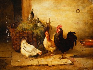 Geflügel und Tauben in einem Innenraum