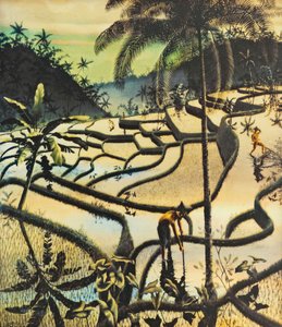 Preanger Landschaft