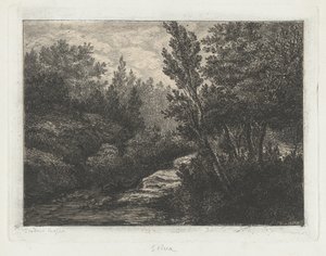 Selva (Wälder)