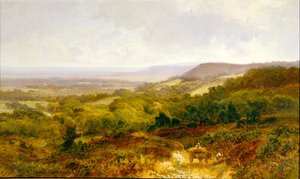 Die Weald von Surrey