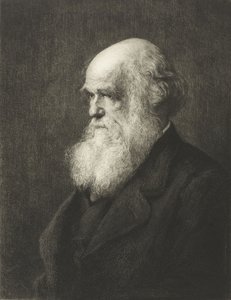 Charles Robert Darwin von Walter William (after) Ouless