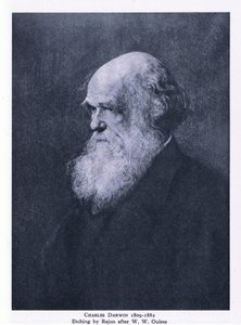 Radierung von Charles Darwin, Natur in Großbritannien