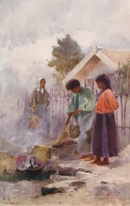 Neuseeland: Kochen in einer heißen Quelle von Walter Wright