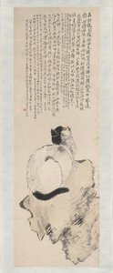 Katze von Wang Li