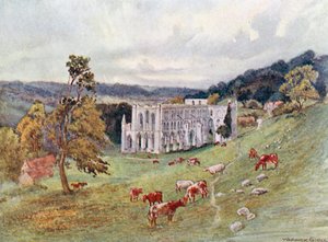 Rievaulx Abbey von Südosten von Warwick (after) Goble