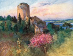 Roumeli Hissar von Warwick (after) Goble