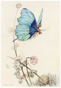 Der Schmetterling erhob sich und flog in die Luft mit dem kleinen Tom auf seinem Rücken, aus dem Märchenbuch