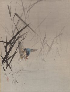 Vogel fängt Fisch unter Schilf, ca. 1887 von Watanabe Seitei