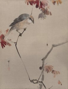 Vogel auf einem Ast beobachtet eine Spinne, ca. 1887 von Watanabe Seitei