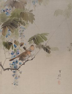 Vögel und Blumen (ca. 1887) von Watanabe Seitei