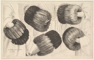 Ein Muff in fünf Ansichten, 1645-46