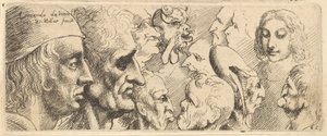 Eine Vielzahl von Köpfen, 1625-77 von Wenceslaus Hollar