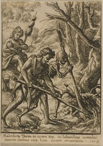Adam pflügt von Wenceslaus Hollar