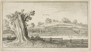 Albury mit Baumstumpf im Vordergrund von Wenceslaus Hollar
