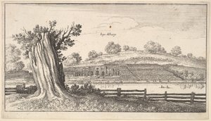 Albury mit Baumstumpf im Vordergrund von Wenceslaus Hollar