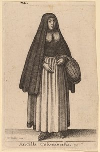 Ancilla Coloniensis von Wenceslaus Hollar
