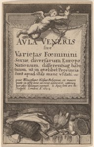Aula Veneris: Titelseite