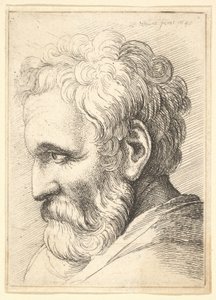 Bärtiger alter Mann von Wenceslaus Hollar