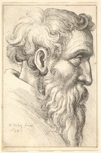 Bärtiger alter Mann im Profil nach rechts von Wenceslaus Hollar