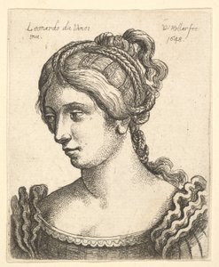 Büste einer Frau, die nach links unten schaut, mit aufwendig dekoriertem Haar, 1648 von Wenceslaus Hollar
