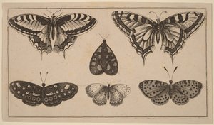  von Wenceslaus Hollar