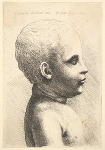 Kopf und Schulter eines Kindes, im Profil nach rechts, 1645 von Wenceslaus Hollar