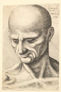 Kopf eines kahlen, sehnigen Mannes, der nach unten schaut, 1648 von Wenceslaus Hollar