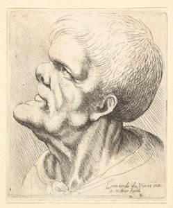 Kopf eines Mannes mit vorstehendem Kinn und Stupsnase, der nach oben links schaut, 1625-77 von Wenceslaus Hollar