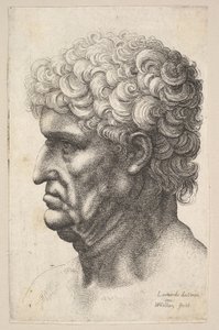 Kopf eines Mannes mit dickem lockigem Haar im Profil nach links von Wenceslaus Hollar