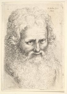 Kopf eines alten Mannes mit großem Bart von Wenceslaus Hollar