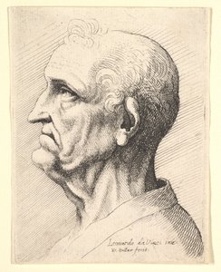 Kopf eines alten Mannes mit Locken um das Ohr im Profil nach links, 1644-52 von Wenceslaus Hollar