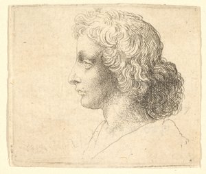 Kopf eines jungen Mannes mit langen Haaren im Profil nach links, 1644-52 von Wenceslaus Hollar