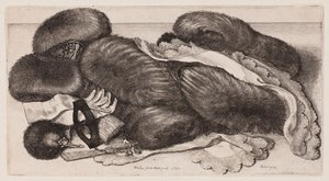  von Wenceslaus Hollar