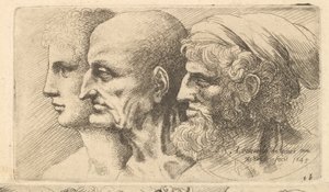 Reihe von drei Köpfen im Profil nach links, 1645 von Wenceslaus Hollar