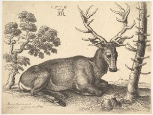Hirsch, nach rechts liegend (1649) von Wenceslaus Hollar