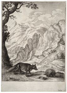 Der Fuchs und das Stachelschwein (Zustand 2) von Wenceslaus Hollar