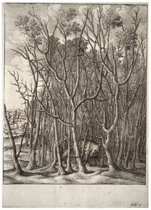 Der Fuchs und der Dornbusch (Zustand 2) von Wenceslaus Hollar
