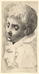 Drei Köpfe, 1645 von Wenceslaus Hollar