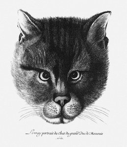 Wahres Bild der Katze des Zaren Alexei I. Michailowitsch von Russland
