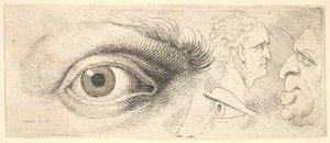 Zwei Augen und zwei Köpfe von Wenceslaus Hollar