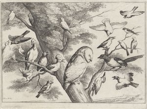 Vögel in einem Baum