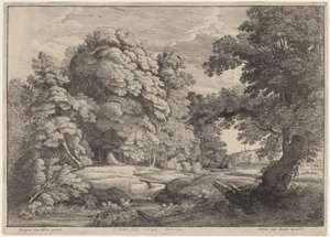 Die Brücke über den Wasserfall