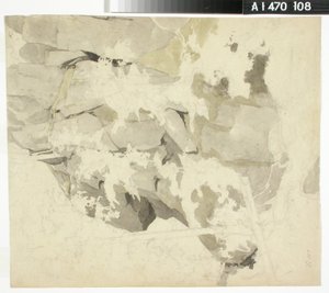 Waldinneres, steile Felswand, Bäume von Werner Holmberg