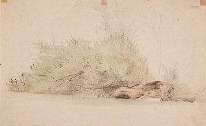 Ohne Titel von Werner Holmberg