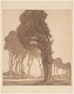 Teil der großen Straße bei der Dessa Cakranegara (Tjakranegara) auf Lombok von Wijnand Otto Jan Nieuwenkamp