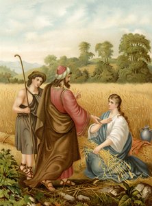Ruth auf dem Feld von Boas