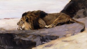 Ein ruhender Löwe
