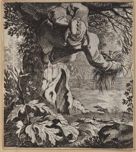Der Kühne Narr von Wilhelm Stettler